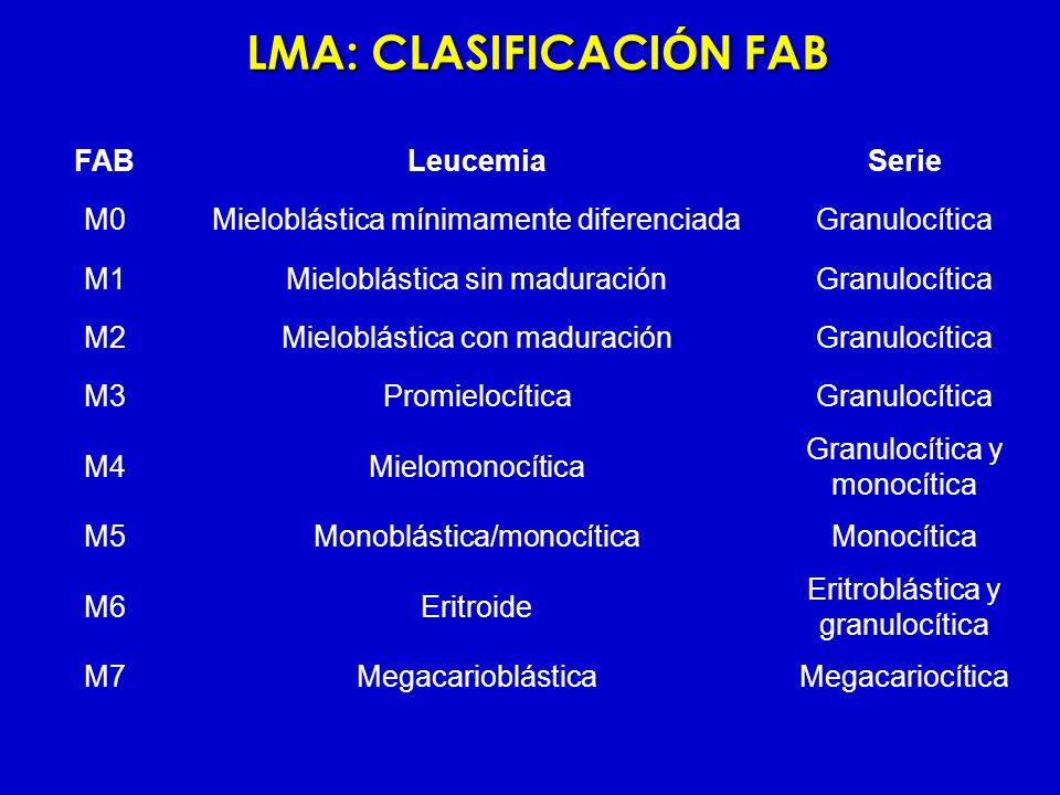 clasificacion de las leucemias fab